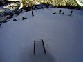 cajones vallnord