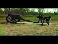 8 in. Siege Howitzer 8 in. Siege Howitzer