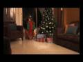 videos de Spot render 3