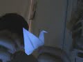 Origami