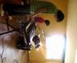 videos de Cover 