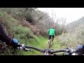 Blue Bug Trail 2 - 