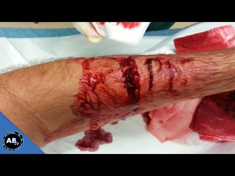 YouTube reptile video