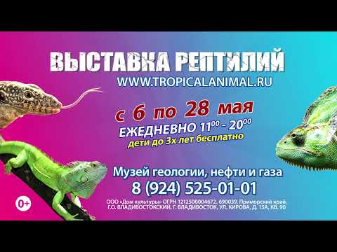 Выставка Рептилий в Ханты-Мансийске