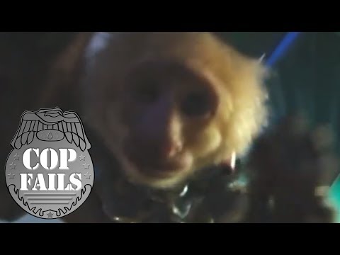 Monkey Attacks Texas Cop