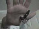 Eagle Claw