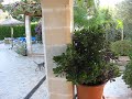 Mallorcan villa