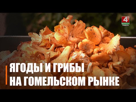 Сезон в самом разгаре! Узнали, почём сейчас на рынке ягоды и грибы видео
