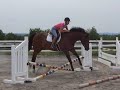 hunter jumper: Monet