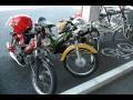 videos de HENTAI MOPEDS!!
