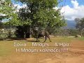 Mpampi - Sonia - Hra - www.sotos206.gr