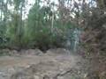 treinos downhill in arouca