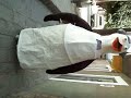Desfile de los Pinguinos de Magadascar