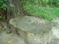 Große Laache Pulheim_1.mpg