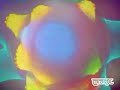 CataraX 2005