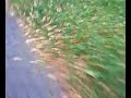 Darzbór Szczecinek - Pogo? Szczecin Darzbór Szczecinek - Pogo? Szczecin