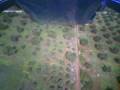 videos de Airplane rc on board minicam (Testing)