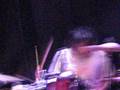 Mapache tocando (sin audio)
