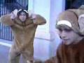 Bloodhound Gang - Discovery Channel 4°B Colegio Aleman