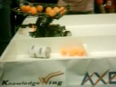 wro2008????(??????)
