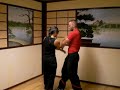 MWTA - Wing Tzun - Sifu Marcin und Lisa Mischke - Part 3 MWTA - Wing Tzun - Sifu Marcin und Lisa Mischke - Part 3