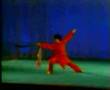 Guiding Daoshu 1989