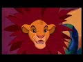TLK Gummy Bear TLK Gummy Bear
