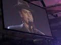 NKOTB 3- valentine girl