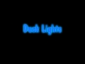 Duck animated lights