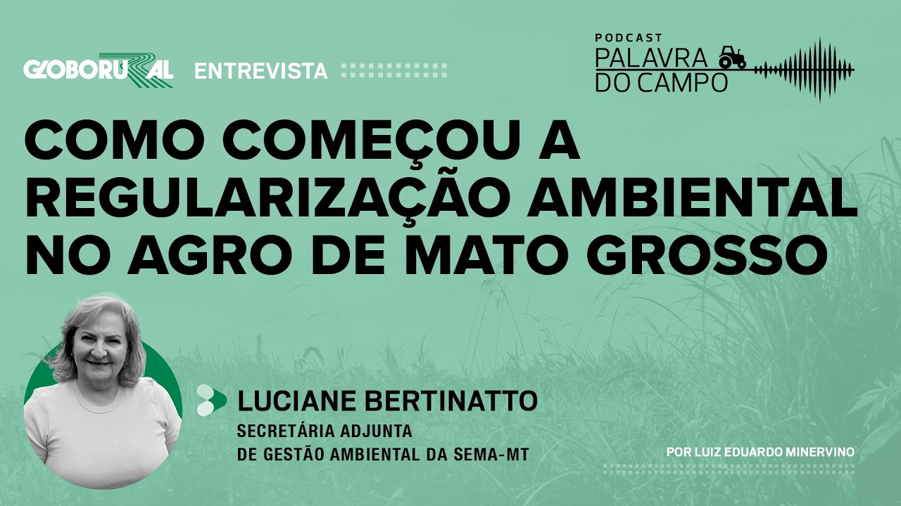 Os avanços e desafios da regularização ambiental em Mato Grosso | Palavra do Campo - Globo Rural
