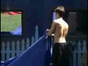 Gorilla in the Big Brother 10 House