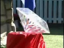 Gorilla in the Big Brother 10 House