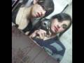 AMIGOS DEL COLE (L(L(L