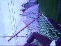 best friends on a hammock_*