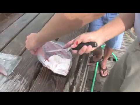 flounder fishing in Ocean isle Beach