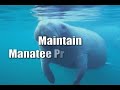 Defenders of Wildlife: 2007 Year-End Video Message