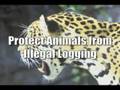 Defenders of Wildlife: 2007 Year-End Video Message