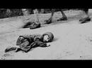 Shoah