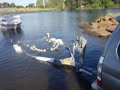 Launch Haines 580C with boat catch