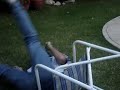 saporo se cae al piso...