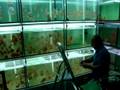 videos de MOV02927.MPG