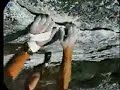 no rope speedclimbing