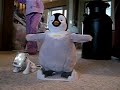 Cha Cha Happy Feet Cha Cha Happy Feet
