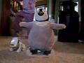 Cha Cha Happy Feet