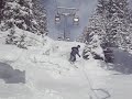 Hit a tree