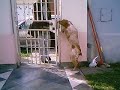 When mom comes home