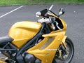 675 daytona or