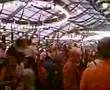 Wiesn 2007 - Schottenhamel - Die Hände zum Himel
