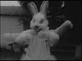 Man Vs. Bunnyman