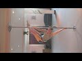 Twisted grip handspring.m4v